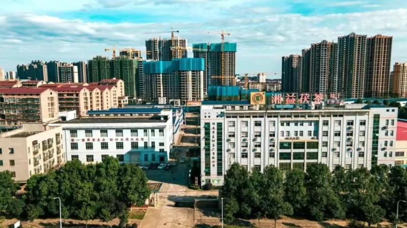 集團益陽茶廠作為益陽市唯一企業(yè)入選首批省級非物質文化遺產生產性保護基地彰顯非遺傳承硬實力